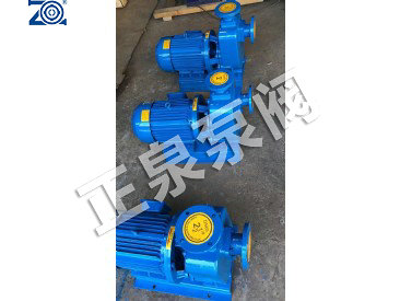 ZX直联卧式自吸泵